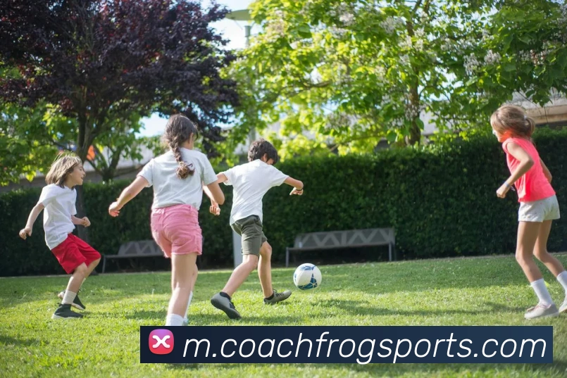 球赛投注平台生态图